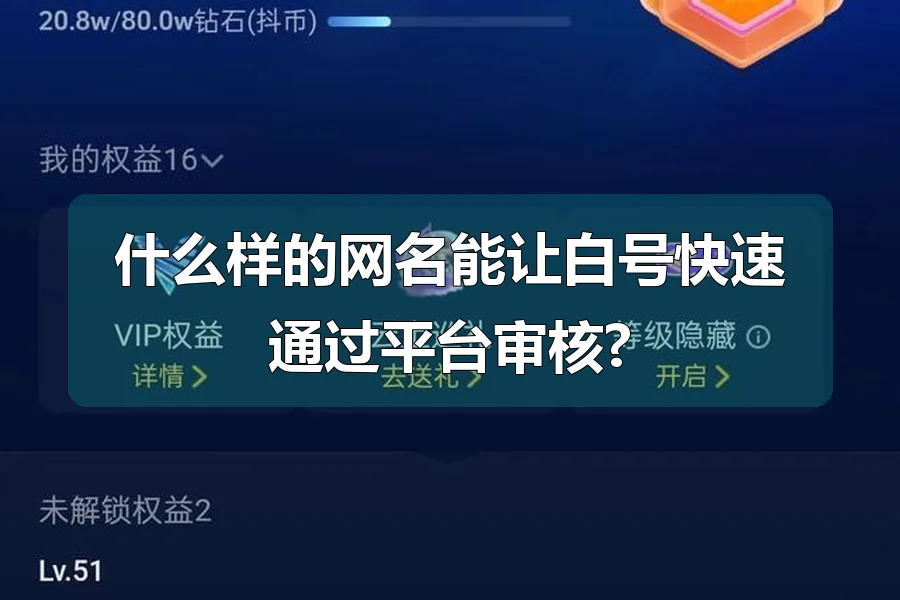 什么样的网名能让白号快速通过平台审核?